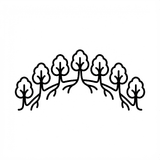 Seventh Generation Principle